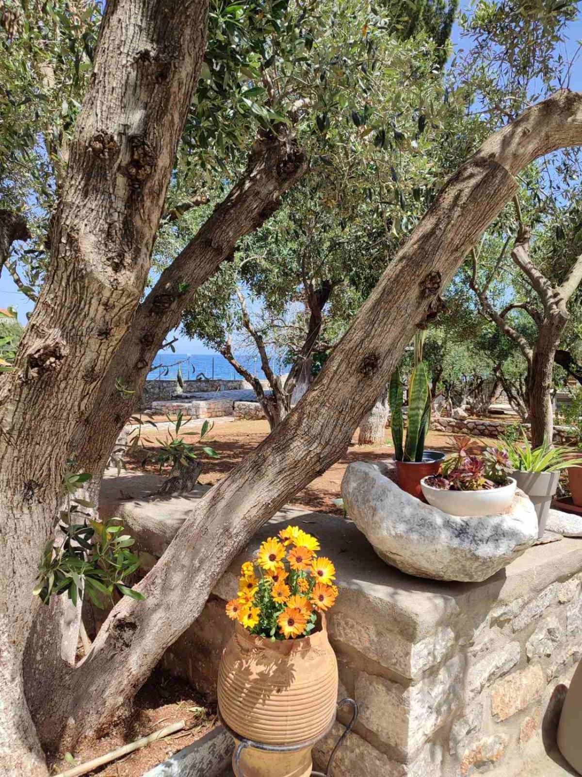 Ktima Zaxarias Hotel Kokkala Exterior foto